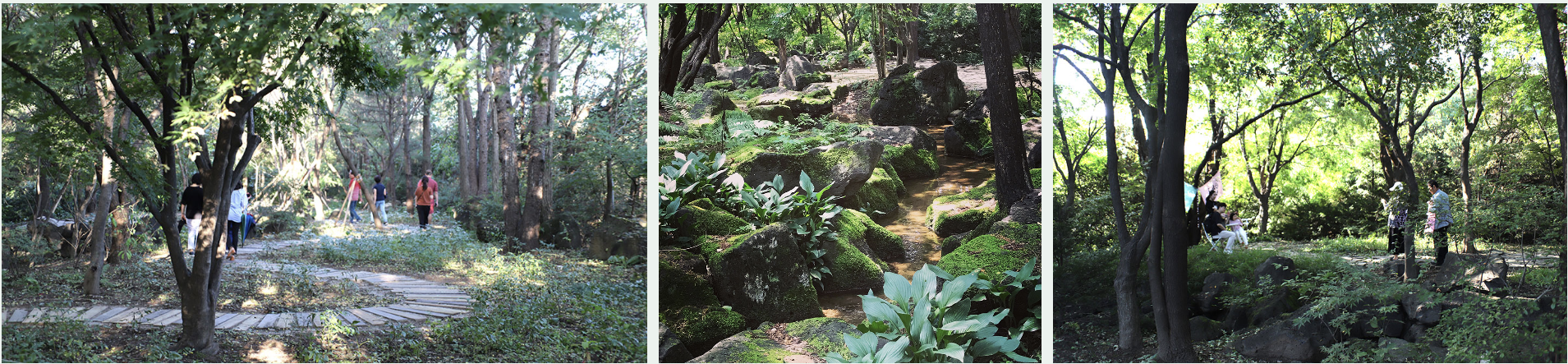 벽초지수목원 사색의 공간