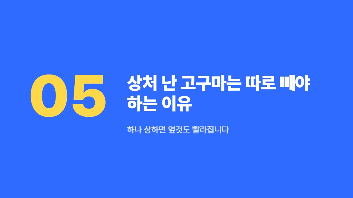 상처 난 고구마는 따로 빼야 하는 이유 — 하나 상하면 옆것도 빨라집니다