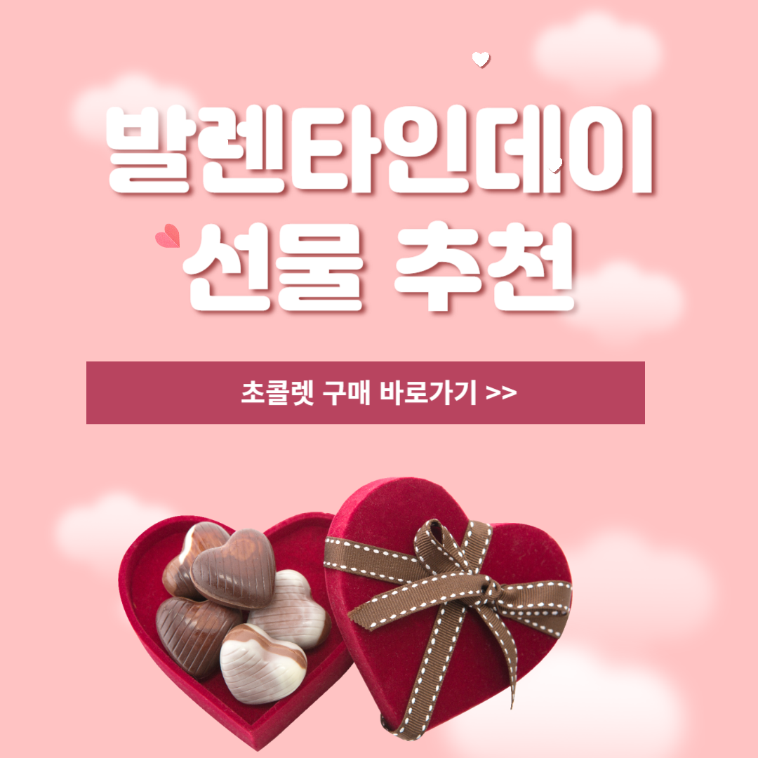 발렌타인데이 선물 초콜렛 추천