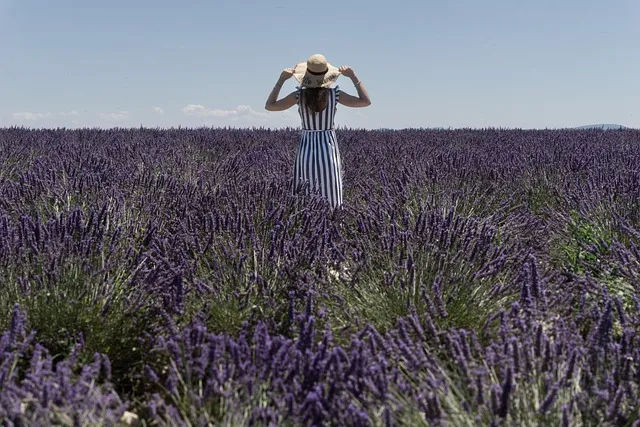 프로방스 비밀 정원 올리브 오일 허브 전통 요리 체험_9