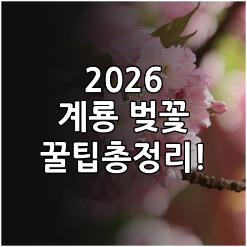 2026 계룡 벚꽃 터널 개화 시기 ..