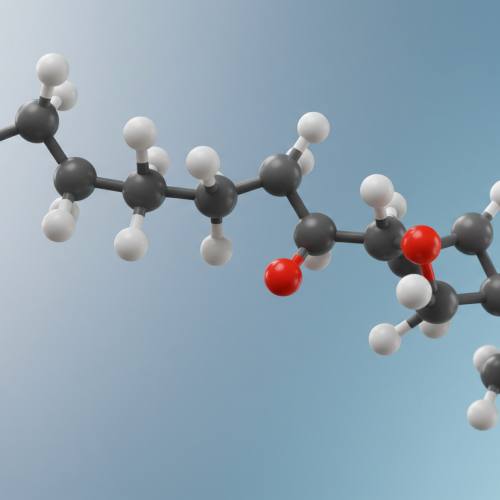 콘드로이친 풍부한 음식