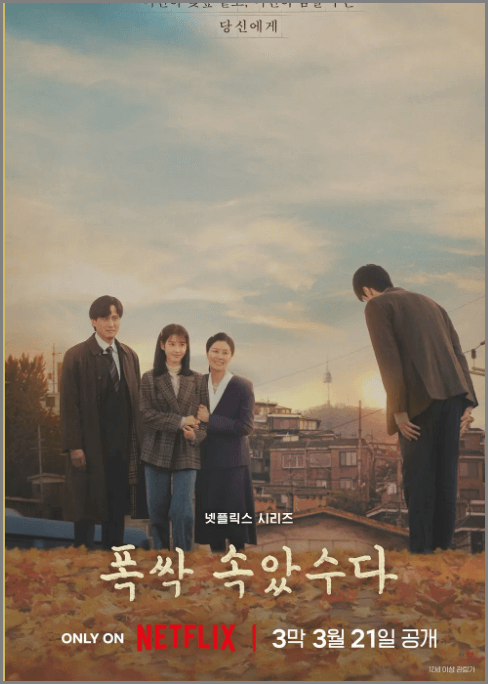 폭싹 속았수다 촬영지와 인기 요인, 줄거리, 시청자 반응