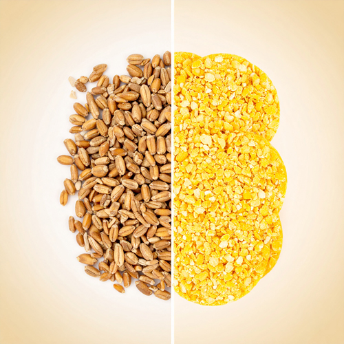 식이섬유가 풍부해 장 건강에 유익