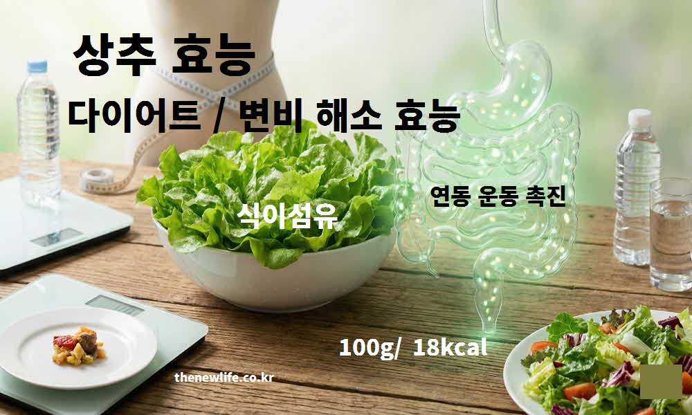 상추 효능 다이어트 변비 해소