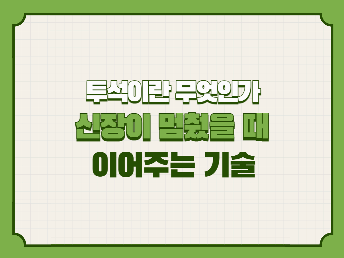 투석이란 무엇인가 – 신장이 멈췄을 때 생명을 이어주는 기술