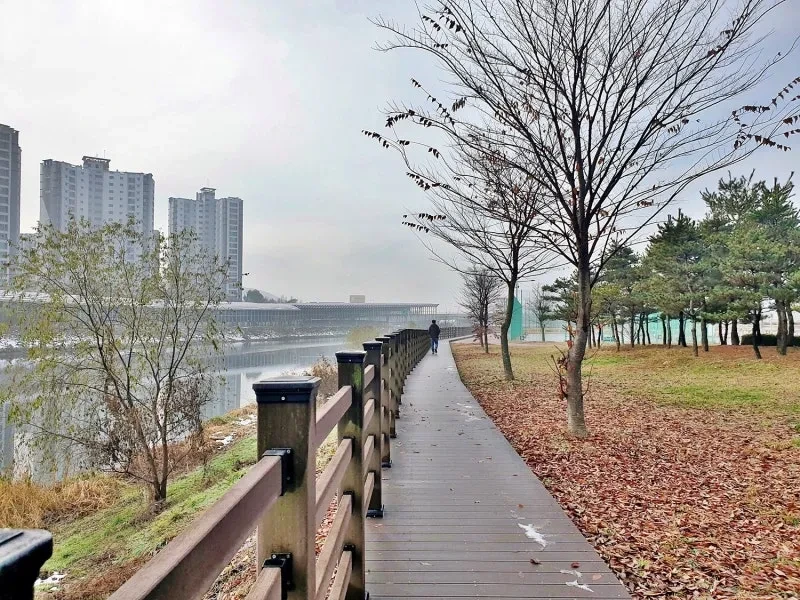 남양주 반려견 겨울 나들이 명소, 강아지와 함께 산책하기 좋은 곳 추천