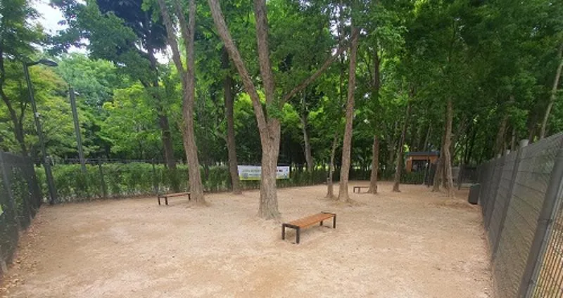매헌시민의숲 반려견 놀이터