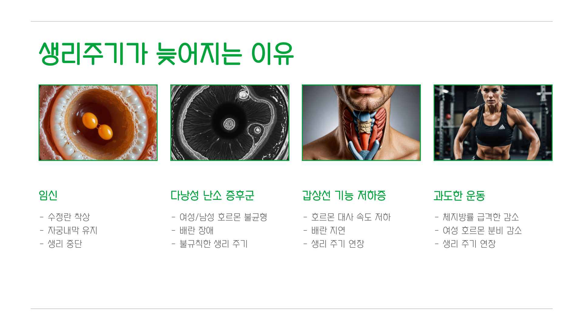 생리주기