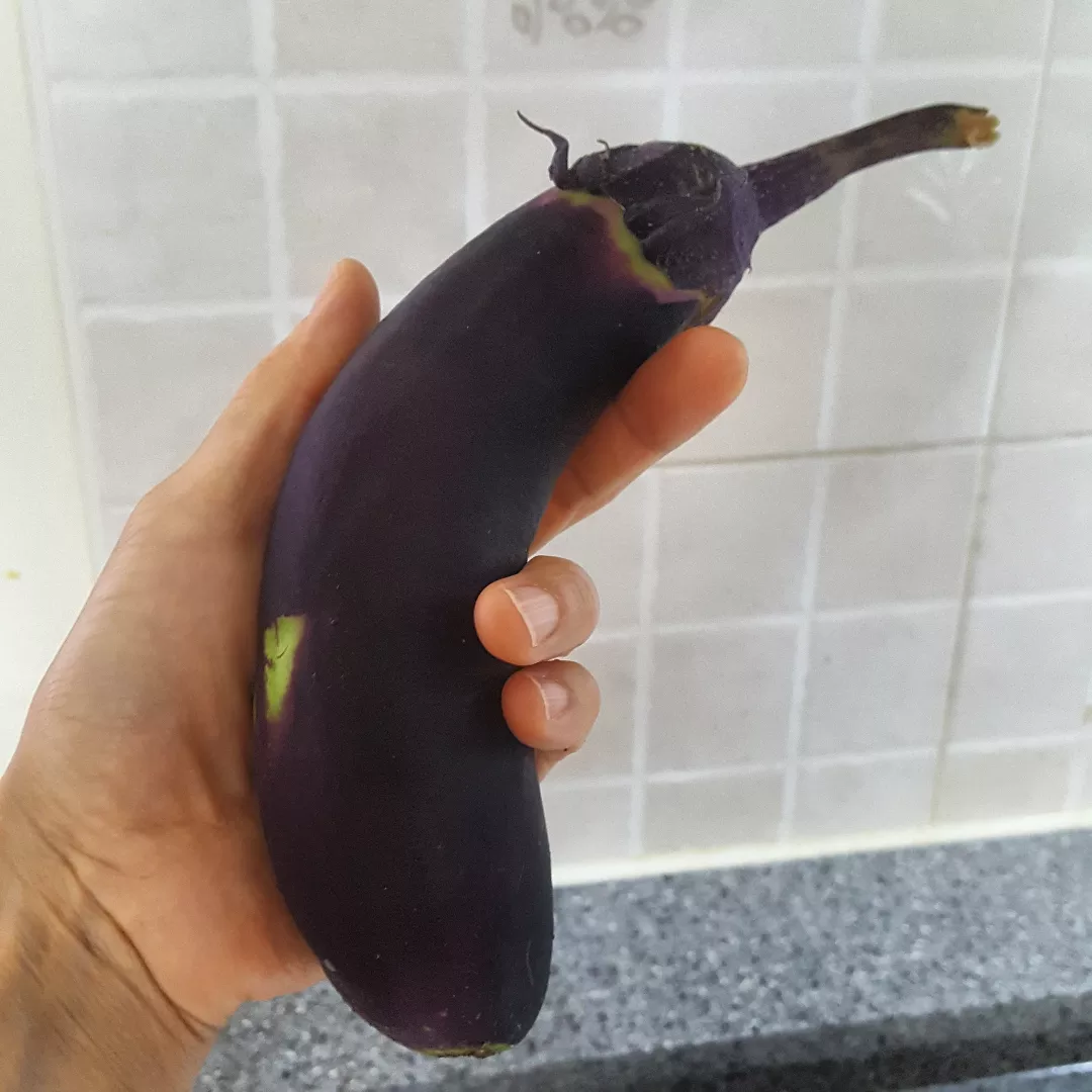 가지