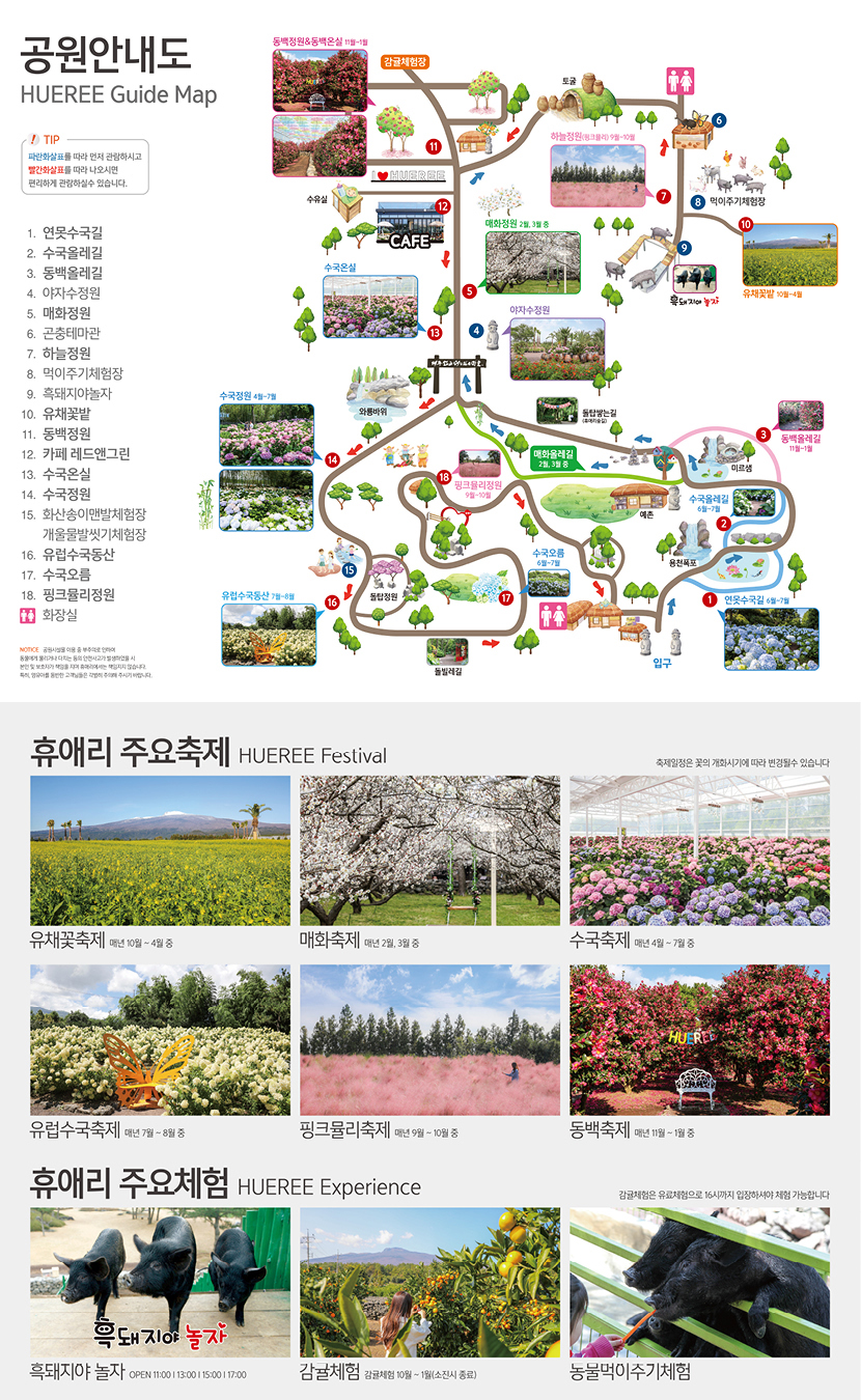 휴애리 여름 수국축제