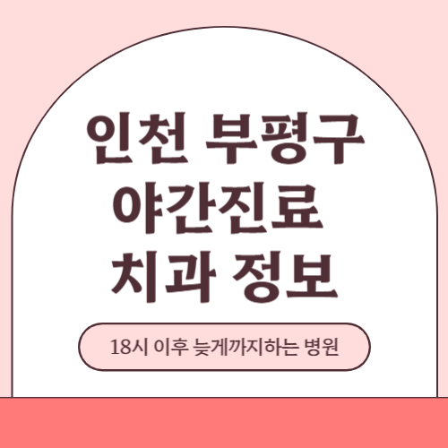 인천 부평구 야간진료 치과 병원 (18시 이후 늦게까지하는 병원)-