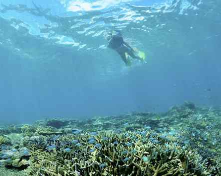 일본-오키나와-이시가키-여행