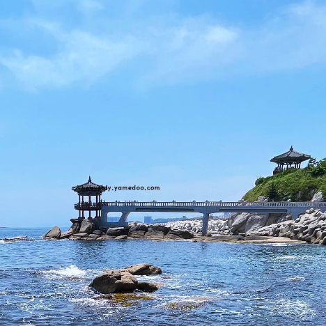 속초 가볼만한곳