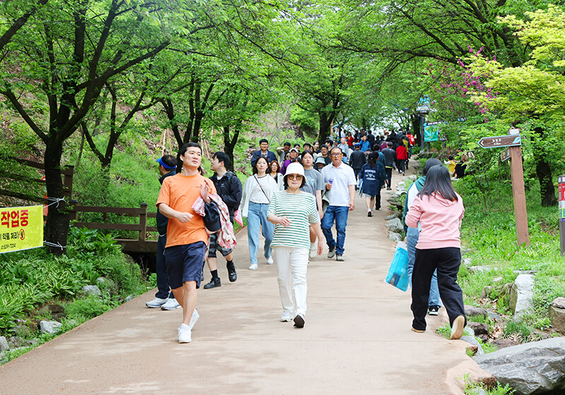 생거진천 농다리축제