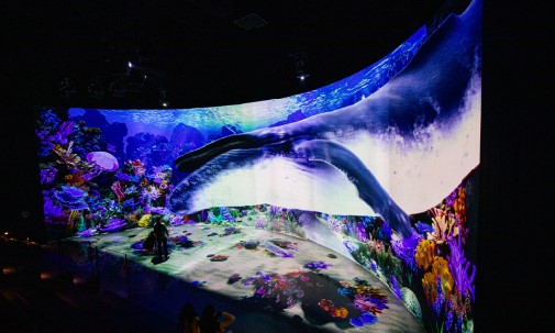 겨울축제 대관령 눈꽃축제