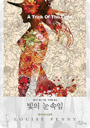 빛의 눈속임 책 사진