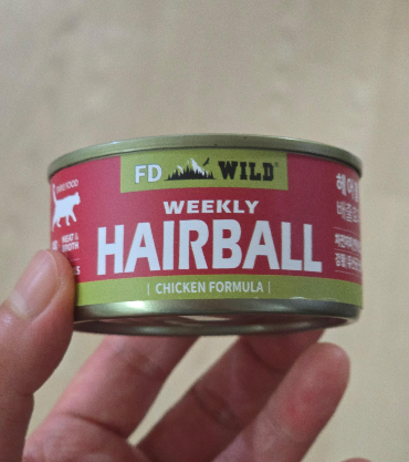 에프디와일드 주식캔2