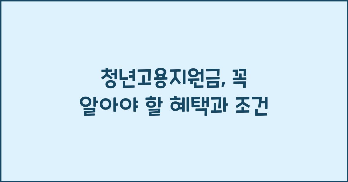 청년고용지원금