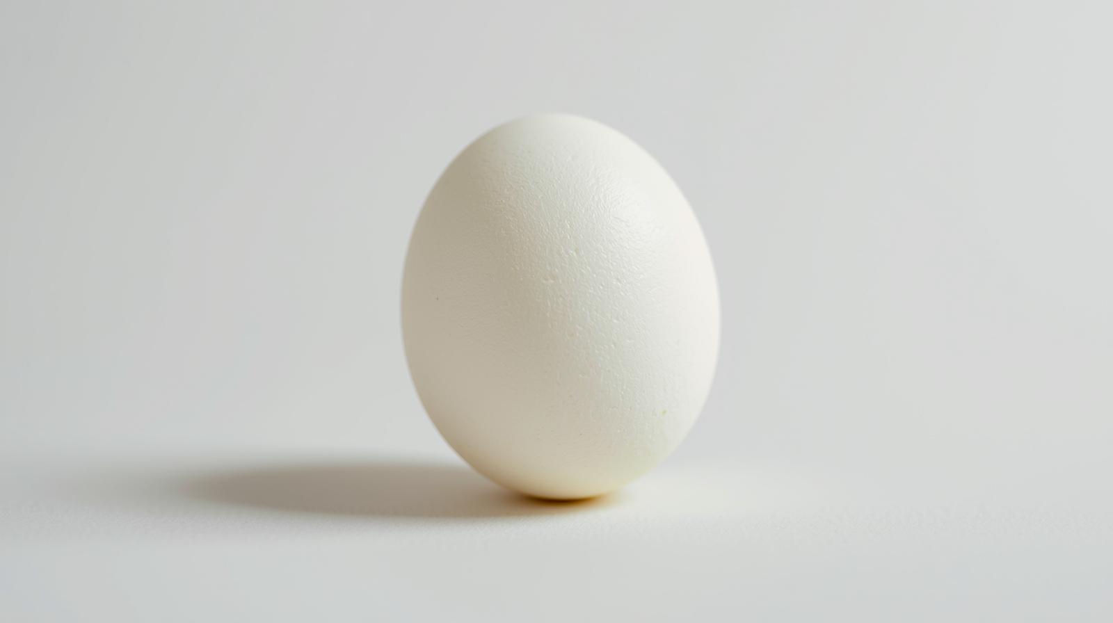 삶은 계란 보관법