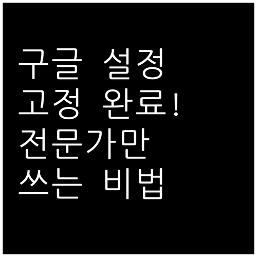 전문가들이 사용하는 미국 구글 국가 ..
