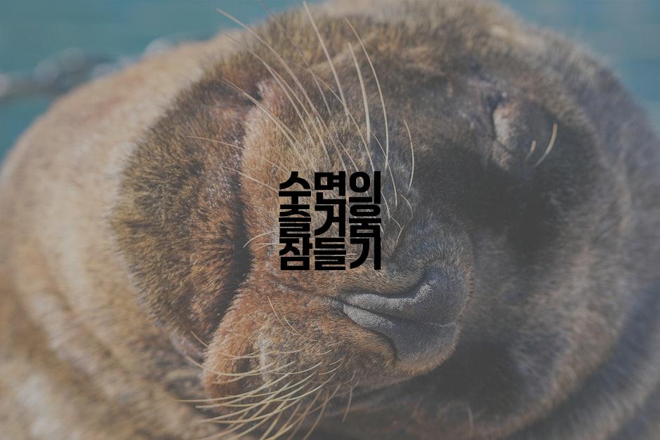 수면의 즐거움 잠들기