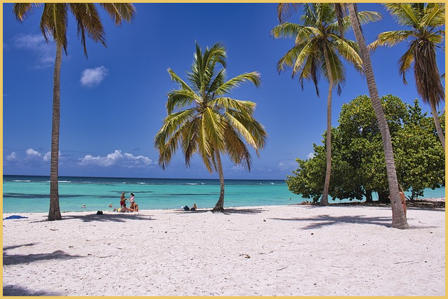 티비수신료 해지방법