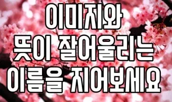 예쁜 일본 여자 이름 베스트 20 발음한자의미 최근 3년 기준으로 정리_19