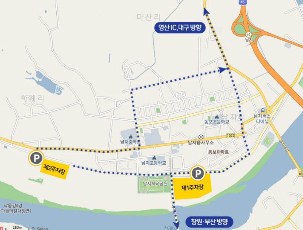 창녕 낙동강 유채축제