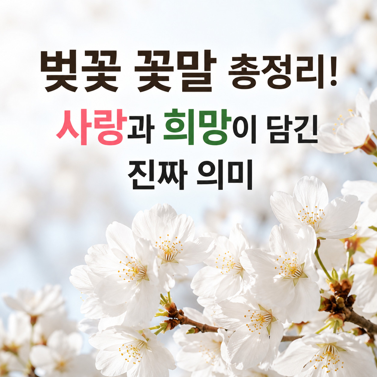 벚꽃 꽃말