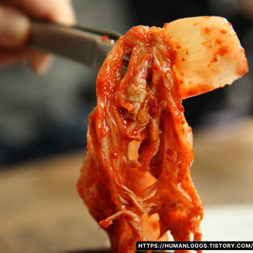 비트코인 김치 프리미엄 뜻 사이트, 김치 프리미엄, 암호화폐, 업비트 마켓 인사이트, 두나무, 가상자산, 비트코인 가격 차이, 환율 영향, 투자 전략, 글로벌 금융시장, 김프, 디지털 자산, 차익 거래, 가상화폐 투자, 암호화폐 시세