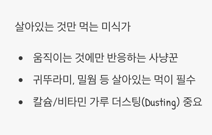 '살아있는 것만' 먹는 미식가 (먹이)
