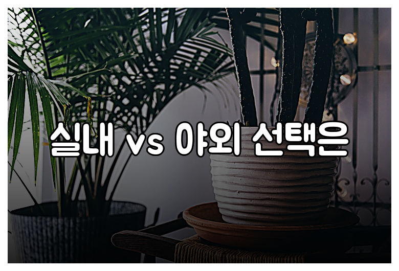 실내 vs 야외 선택은