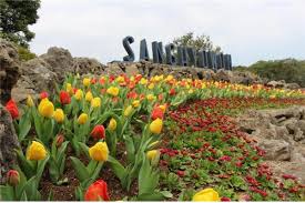 4월 제주도 가볼만한 곳 10곳