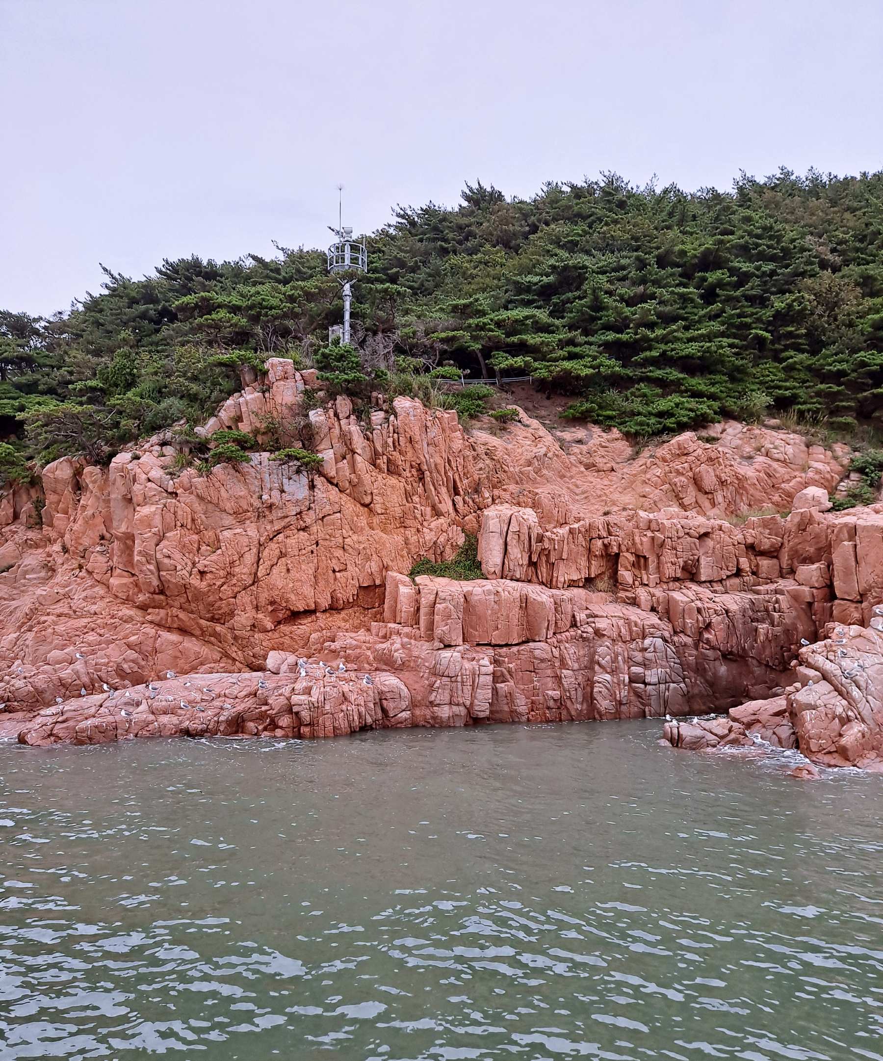 갈매기들 떼창