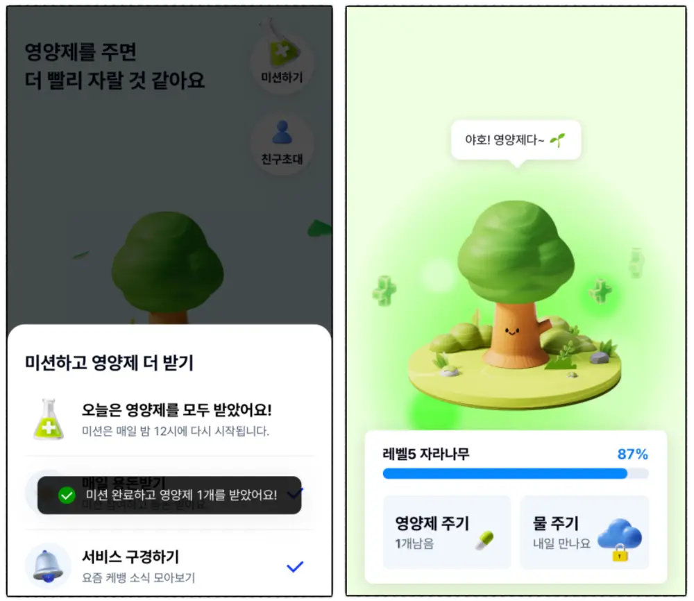 케이뱅크 돈나무-영양제 주기