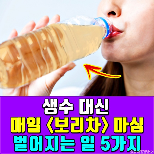 보리차 효능, 보리차 끓이는법, 물대신 보리차,건강 팁줌 매일꿀정보