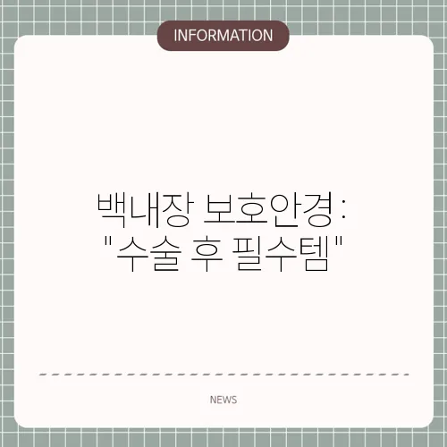 백내장 보호안경: 