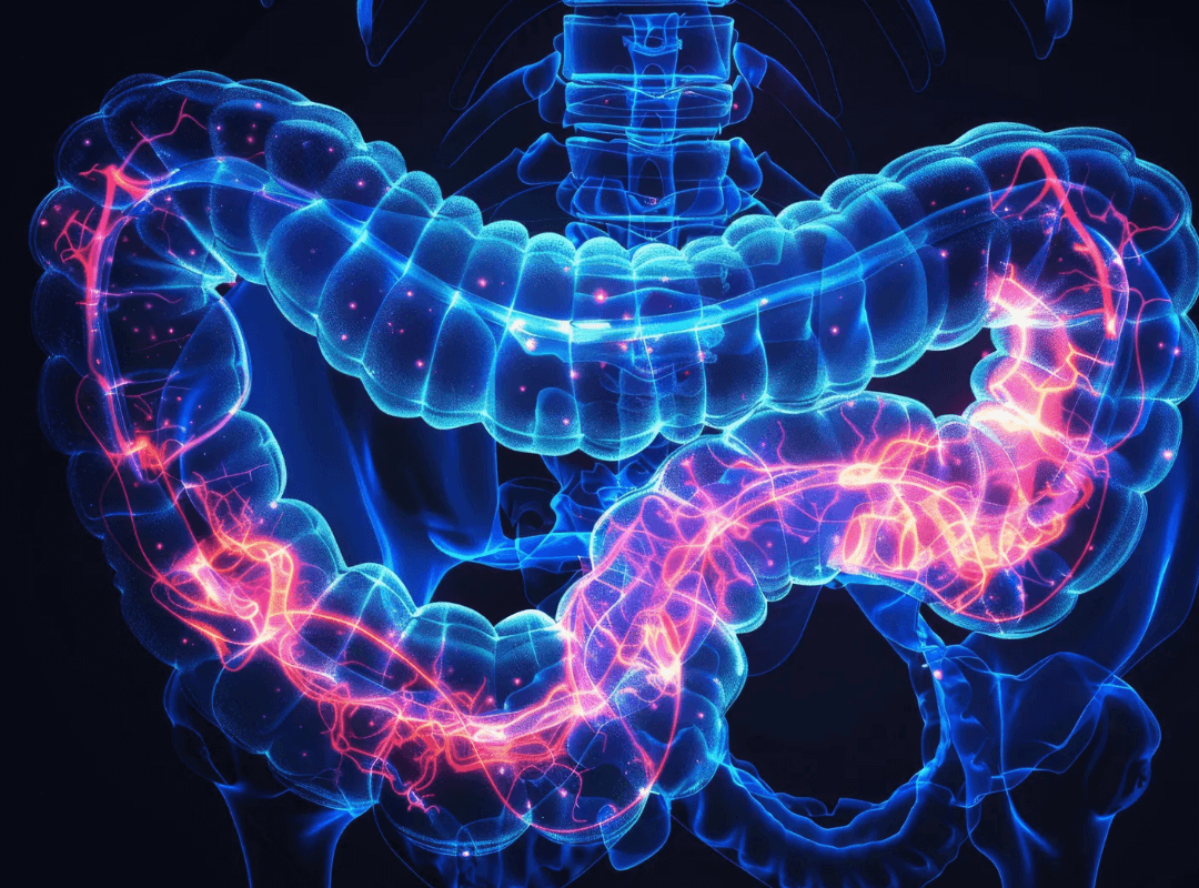 유산균이 부족할 때 나타나는 증상 5가지｜