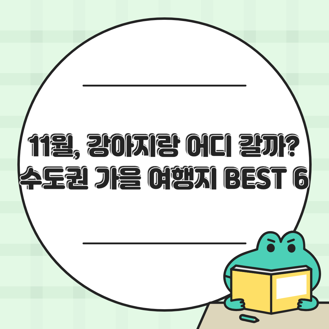 반려견과 함께 떠나는 11월 가을 여행지 – 서울·경기 수도권 추천 명소 6선