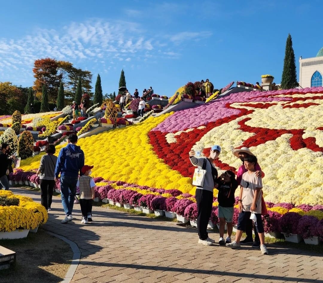 임실치즈축제 열차&amp;#44; 셔틀버스&amp;#44; 주차장 꿀팁
