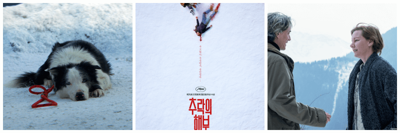 추락의 해부 포토, 포스터