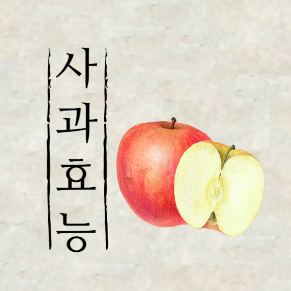 사과 효능│아침 사과 효능 알고 드세요!