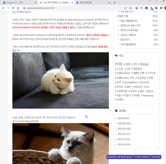크롬 브라우저 Make America Kittens Again
