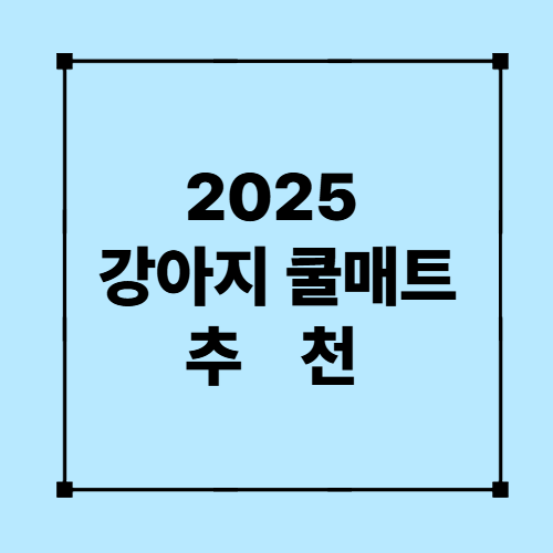 2025 강아지 쿨매트 추천