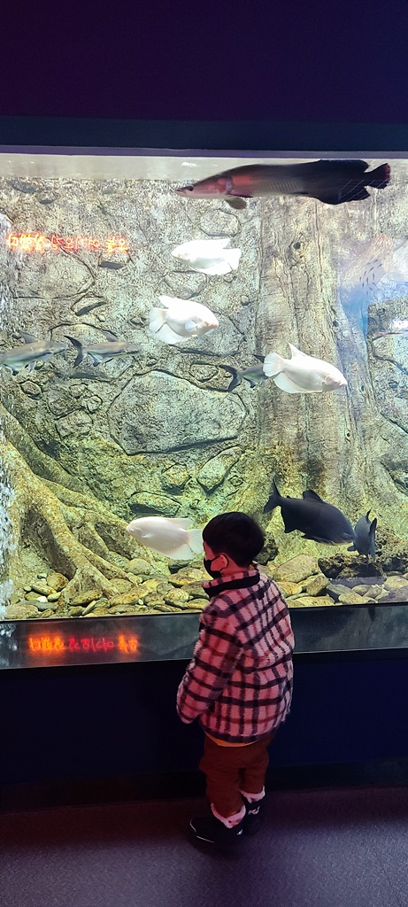 삼척-민물고기전시관