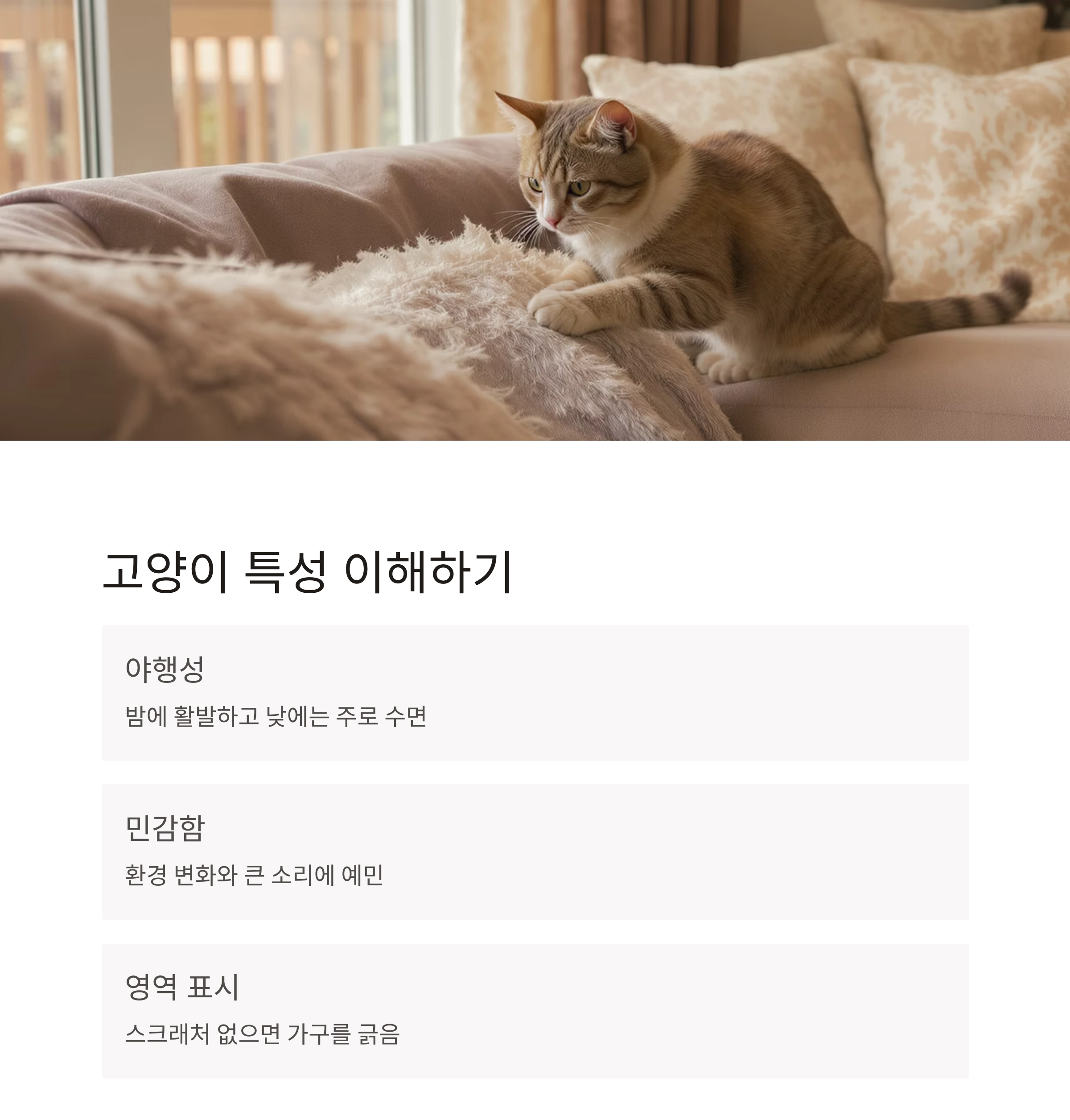 후회 없는 선택을 위한 고양이 입양 전 체크리스트