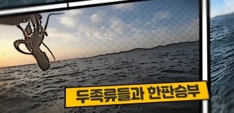 낚시 입질 파악 감도 좋은 채비 바늘 크기 조정 방법_9