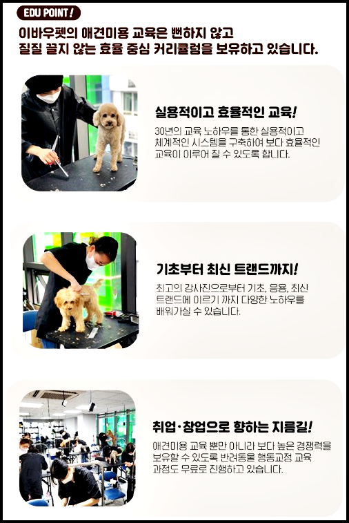 순천애견미용
