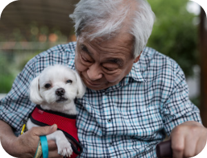 반려견 순찰대 어르신 돌봄 이미지 출처 : http://www.petrol.or.kr/